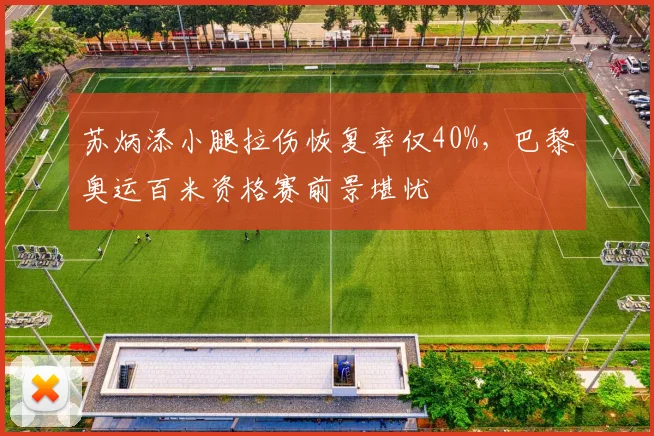 苏炳添小腿拉伤恢复率仅40%，巴黎奥运百米资格赛前景堪忧