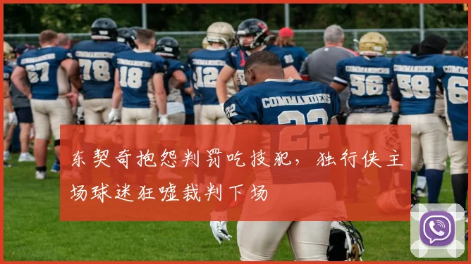 东契奇抱怨判罚吃技犯，独行侠主场球迷狂嘘裁判下场