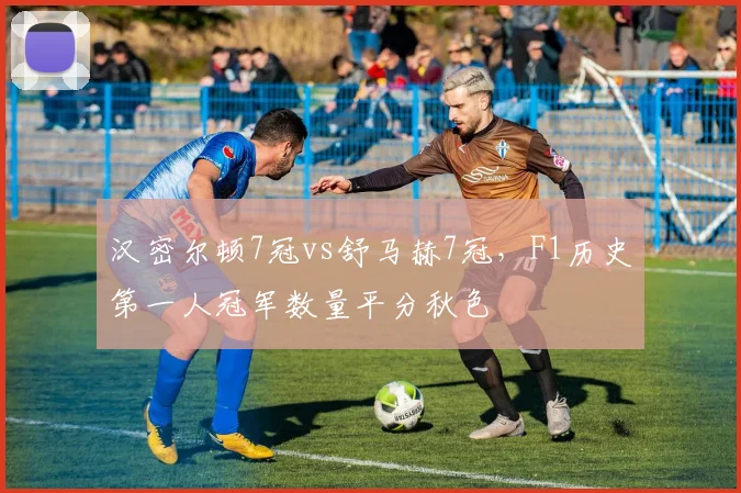 汉密尔顿7冠vs舒马赫7冠，F1历史第一人冠军数量平分秋色